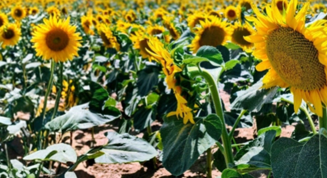 practicalchristianity